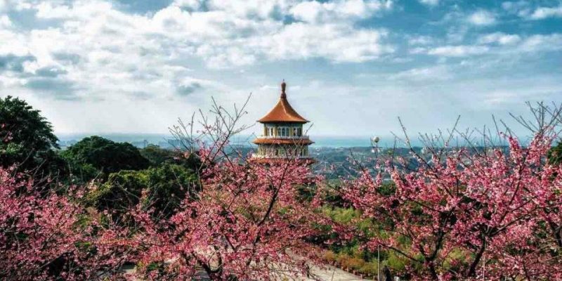 Ghi nhớ 7 địa điểm để ngắm hoa anh đào khi du lịch ở Đài Loan