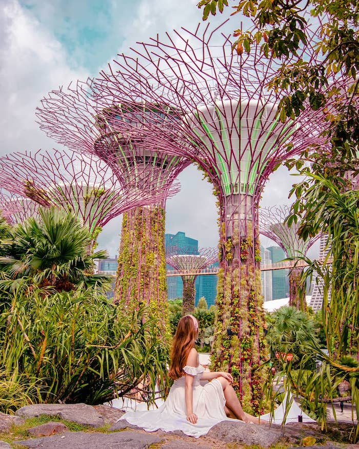Ngắm một Singapore lộng lẫy vào những ngày cuối năm