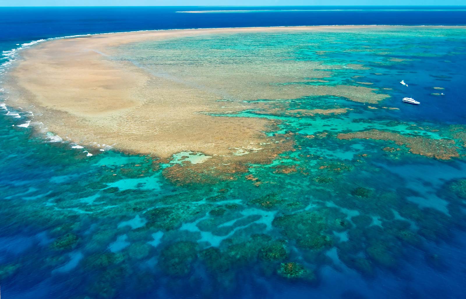 Tình trạng nguy hiểm của rạn san hô Great Barrier